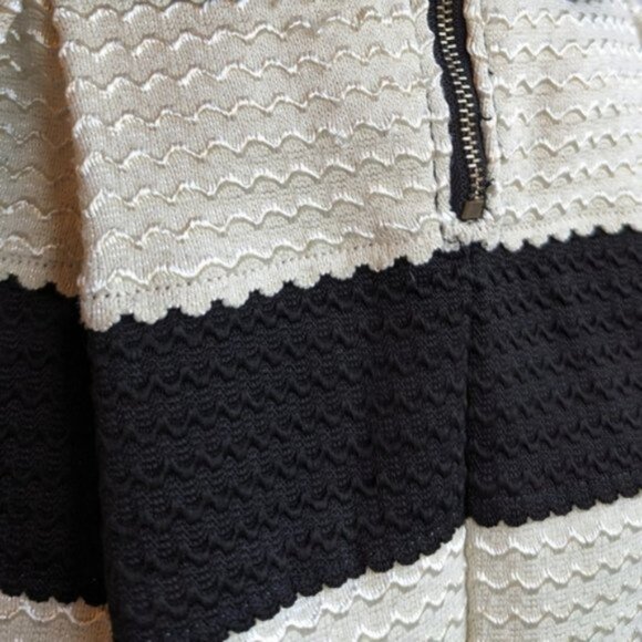 L'atiste by Amy textured pleated black & white striped colourblock a-line Dress - Picture 3 of 5